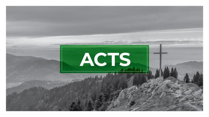 Acts: Week 13